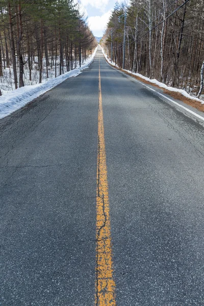 Route le long de la forêt d'hiver — Photo