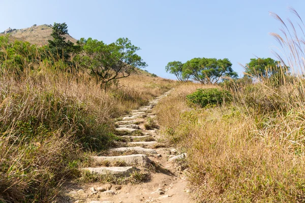Hiking path on mountain — Stock Photo, Image