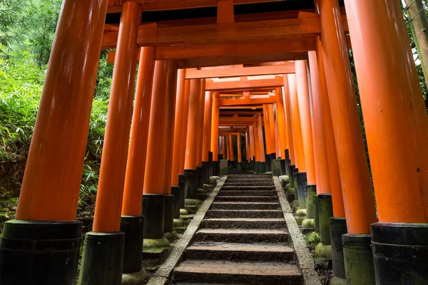 Fushimi inari-Schrein torii-Tempel in Kyoto — Stockfoto