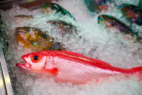 Poissons tropicaux sur le marché — Photo