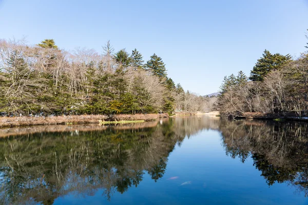 Lindo lago de água no inverno — Fotografia de Stock