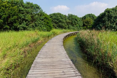 Sulak alan Park ahşap yürüyüş yolu
