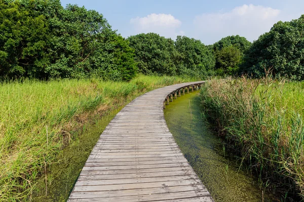 Sulak alan Park ahşap yürüyüş yolu — Stok fotoğraf