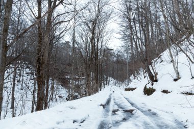 Karlı yol ile kış