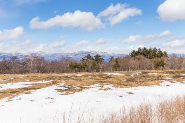 Karlı güzel kış manzarası 