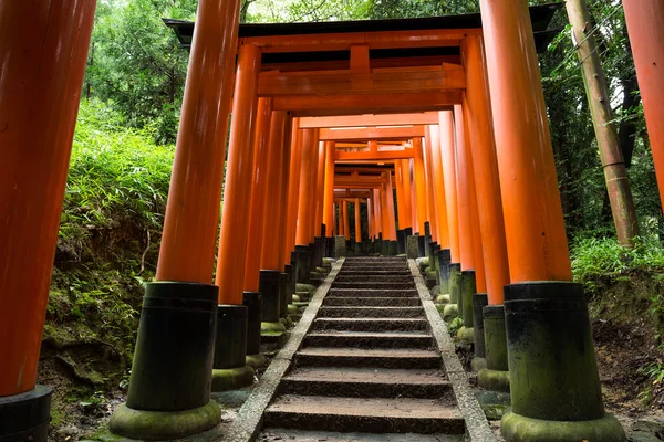 Fushimi inari-Schrein torii-Tempel in Kyoto — Stockfoto