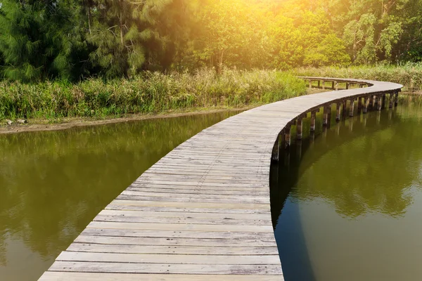 Camino de madera a través del lago — Foto de Stock