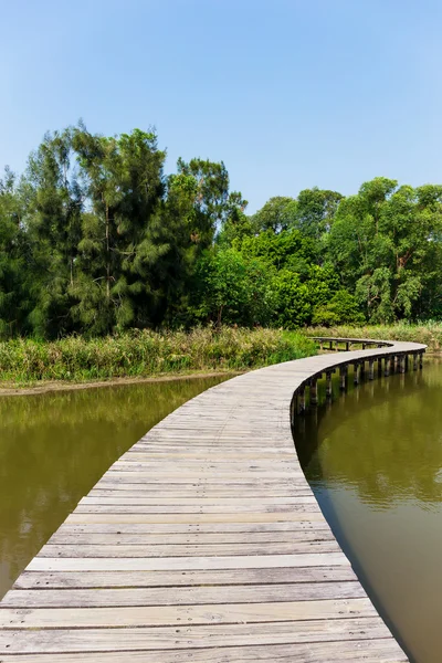 Camino de madera a través del lago — Foto de Stock