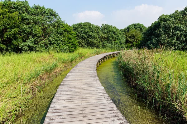 Dřevěná cesta přes jezero — Stock fotografie