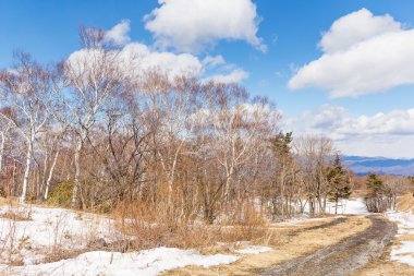 Karlı güzel kış manzarası 