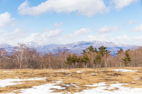 Karlı güzel kış manzarası 