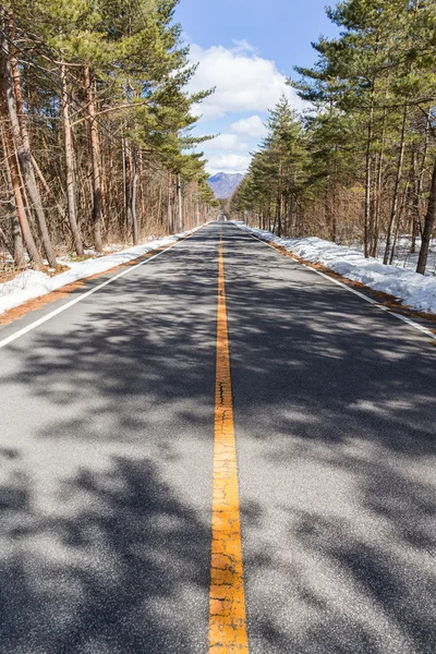 Road along winter forest — Stock Photo, Image