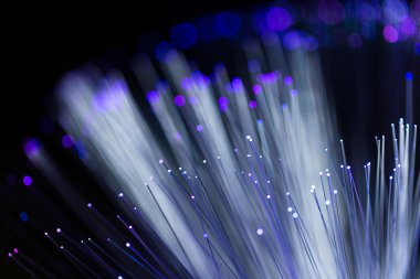 fiber optik ağ kablosu