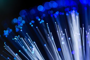 fiber optik ağ kablosu