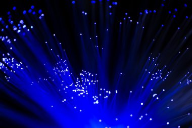 fiber optik ağ kablosu