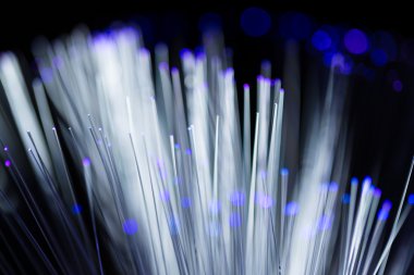 fiber optik ağ kablosu