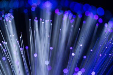 fiber optik ağ kablosu