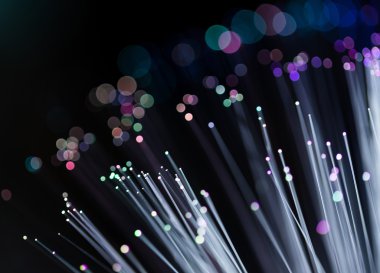 fiber optik ağ kablosu