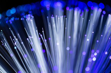 fiber optik ağ kablosu