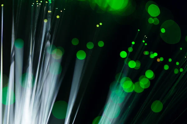Kabel jaringan optik serat — Stok Foto