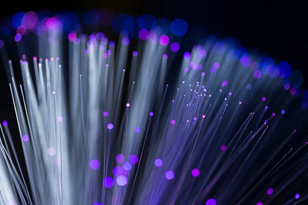 Fiber optical network cable — Stock Photo, Image