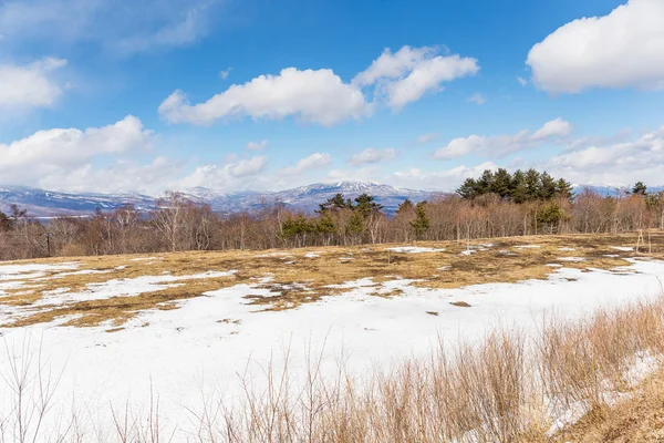 Beautiful winter landscape in the mountains