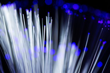 fiber optik ağ kablosu