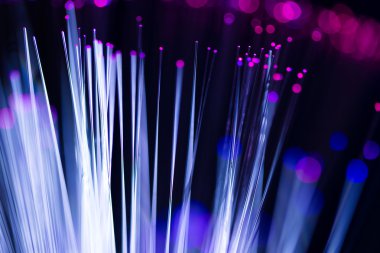 fiber optik ağ kablosu