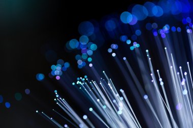 fiber optik ağ kablosu