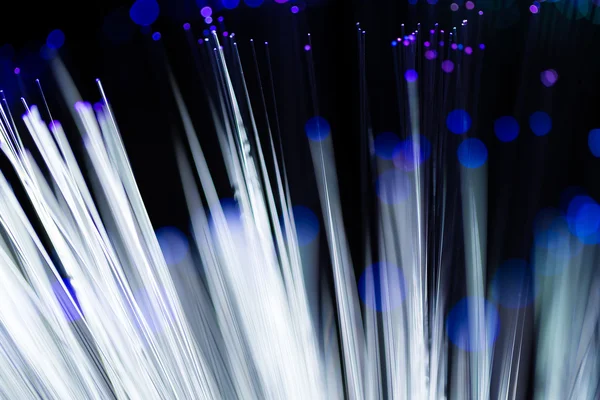 fiber optik ağ kablosu