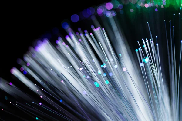 fiber optik ağ kablosu