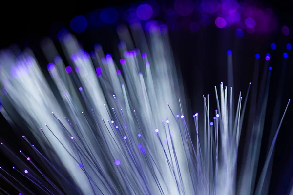 Fiber optical network cable — Stock Photo, Image