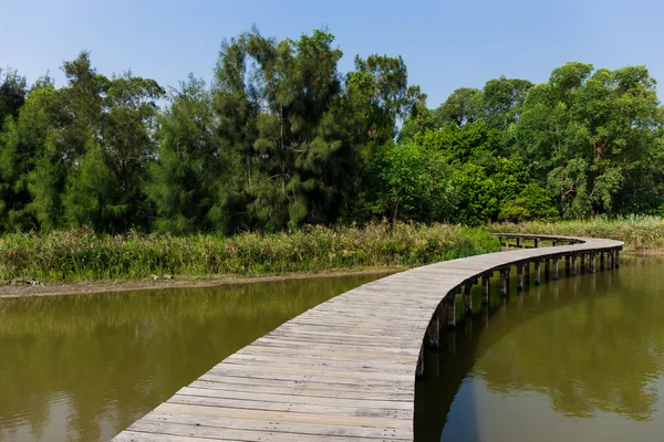 Camino de madera a través del lago — Foto de Stock