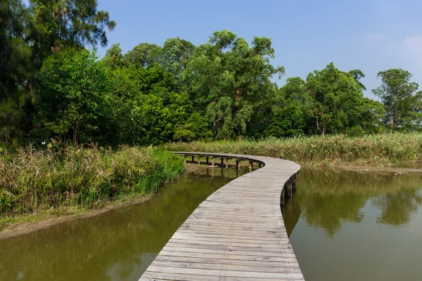 Chemin en bois à travers le lac — Photo