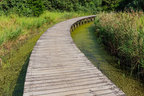 Dřevěná cesta přes jezero — Stock fotografie