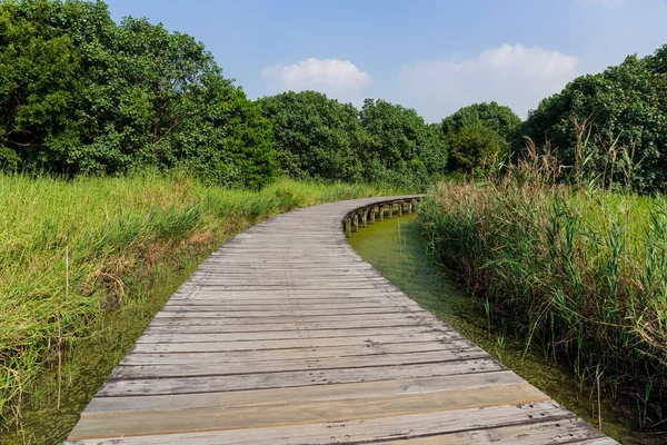 Chemin en bois à travers le lac — Photo