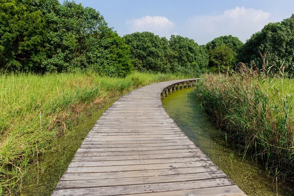 Houten pad over het meer — Stockfoto