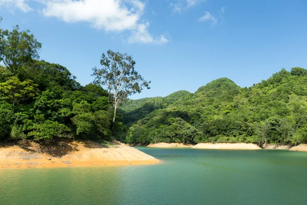 Waterreservoir en tropisch bos — Stockfoto