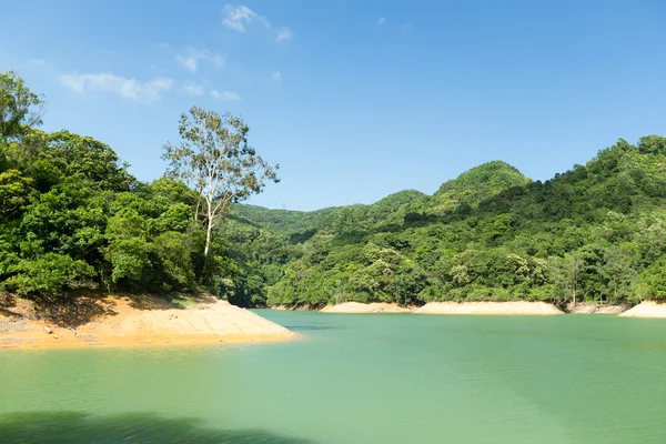 Waterreservoir en tropisch bos — Stockfoto