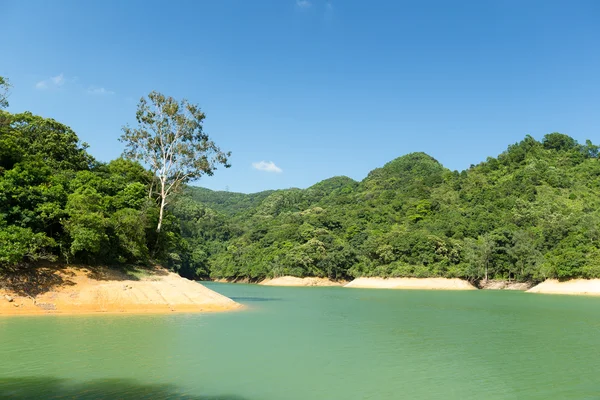 Wasserreservoir und tropischer Wald — Stockfoto