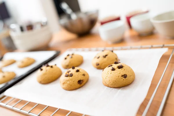 Biscotti al cioccolato fatti in casa — Foto Stock