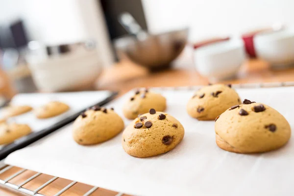 Hembakade chokladkakor — Stockfoto