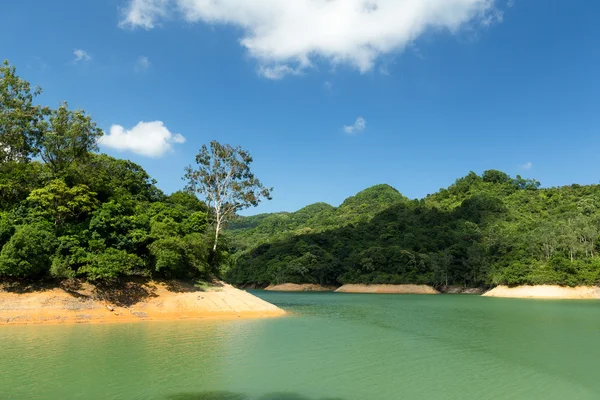 Водохранилище и тропический лес — стоковое фото