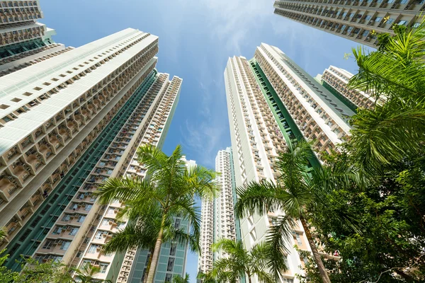 Buildings facade from low angle — Stock Photo, Image