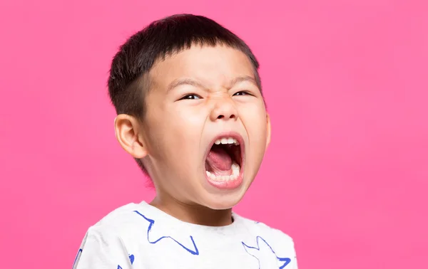 Pequeno filho gritando — Fotografia de Stock