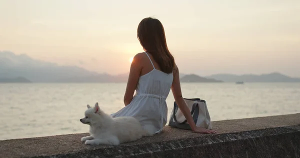 Mulher Desfrutar Vista Pôr Sol Com Seu Cão — Fotografia de Stock