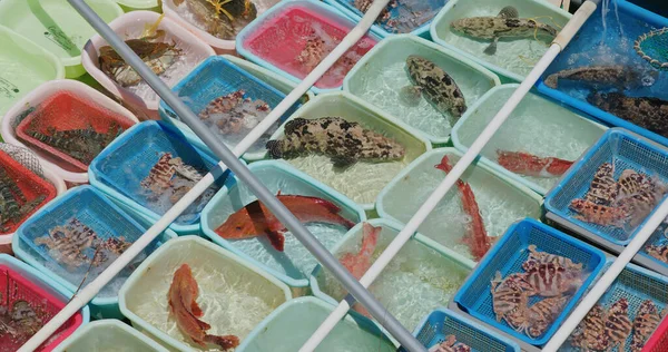 Verkoop Zeevruchten Vissersboot — Stockfoto