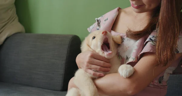 Mujer Jugar Con Cachorro Perro Casa — Foto de Stock