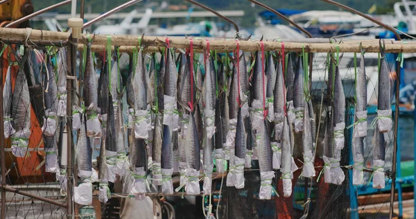 Sai Kung Hong Kong Agosto 2020 Peces Salados Colgados Barco — Foto de Stock