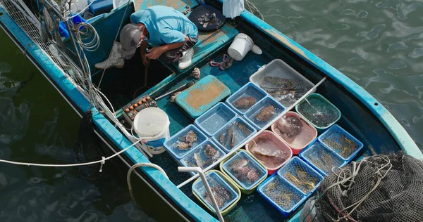 Sai Kung Hongkong Září 2020 Prodej Mořských Plodů Rybářské Lodi — Stock fotografie